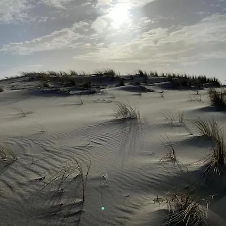 Les Flots Bleus Proche Golf Arcachon * La Teste-de-Buch