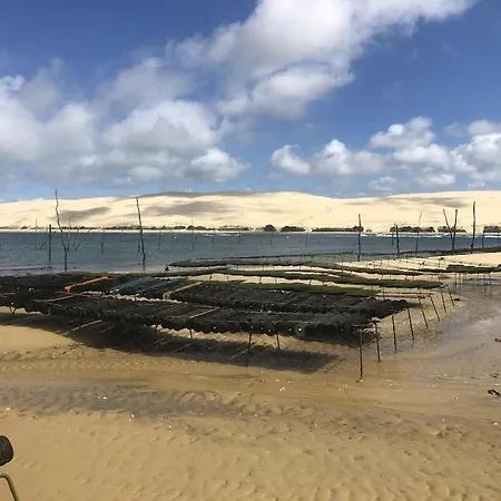 Les Flots Bleus Proche Golf Arcachon Dom wakacyjny La Teste-de-Buch