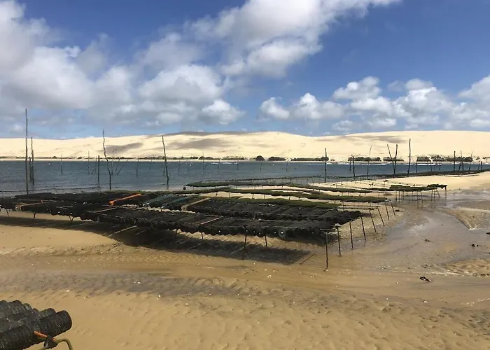 Les Flots Bleus Proche Golf Arcachon Feriehus La Teste-de-Buch