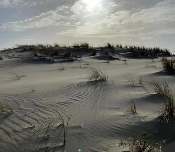 Les Flots Bleus Proche Golf Arcachon * La Teste-de-Buch